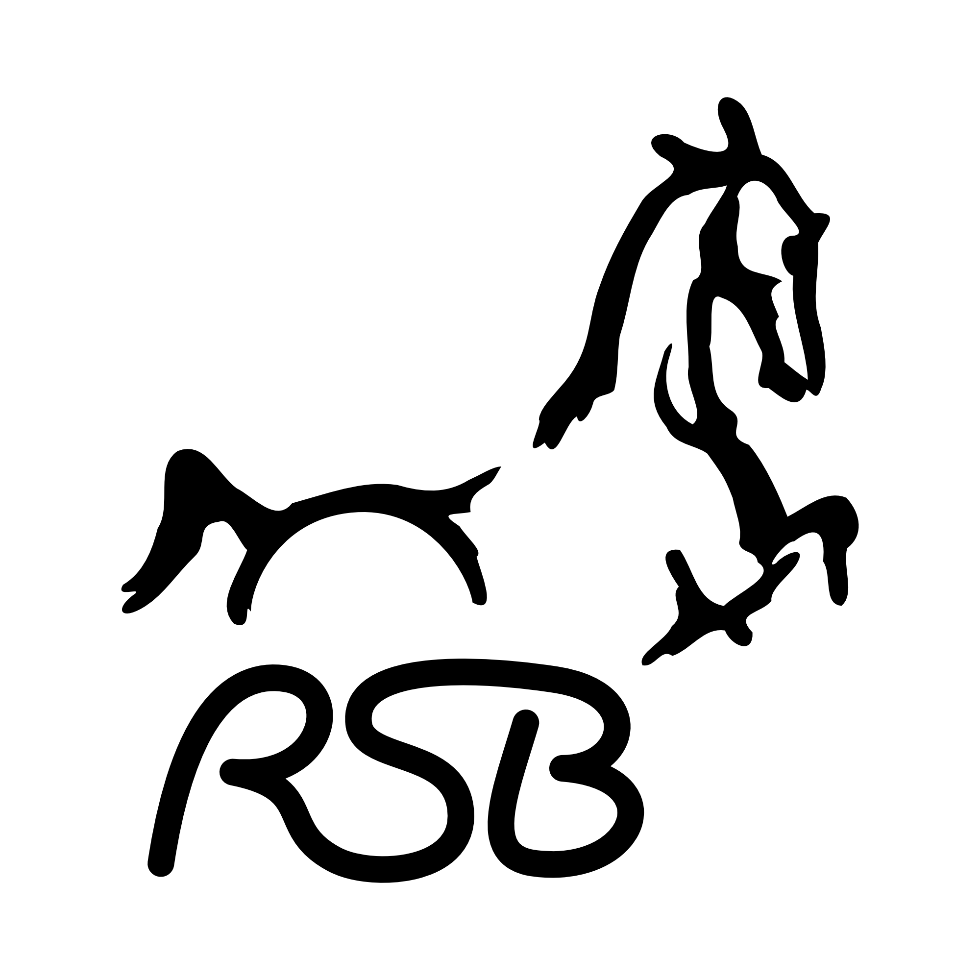RSB